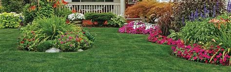 Fall Lawn Makeover: Jonathan Green Grass Seed to the Rescue